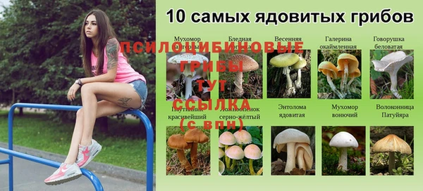 MESCALINE Абаза